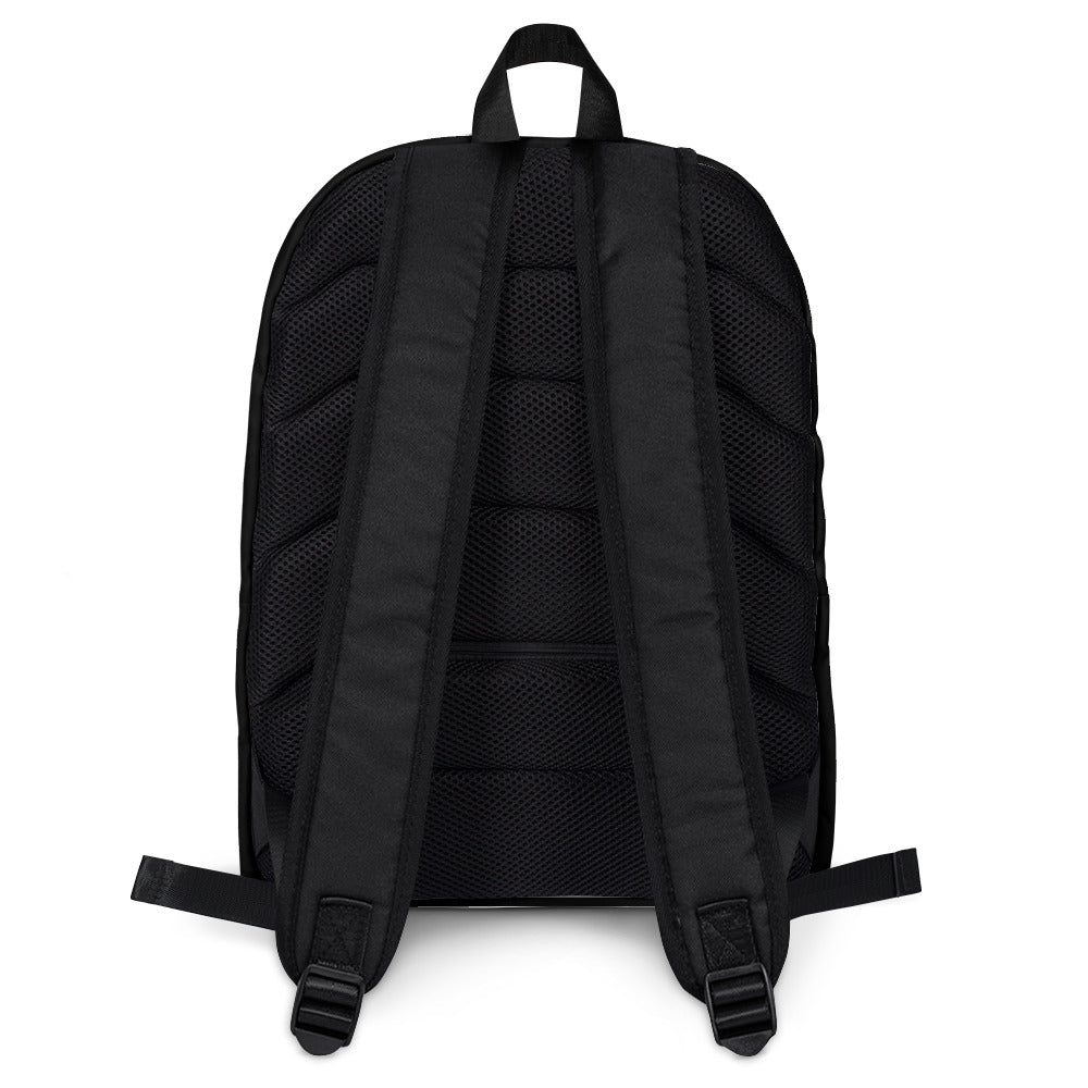 #Lendsetter backpack
